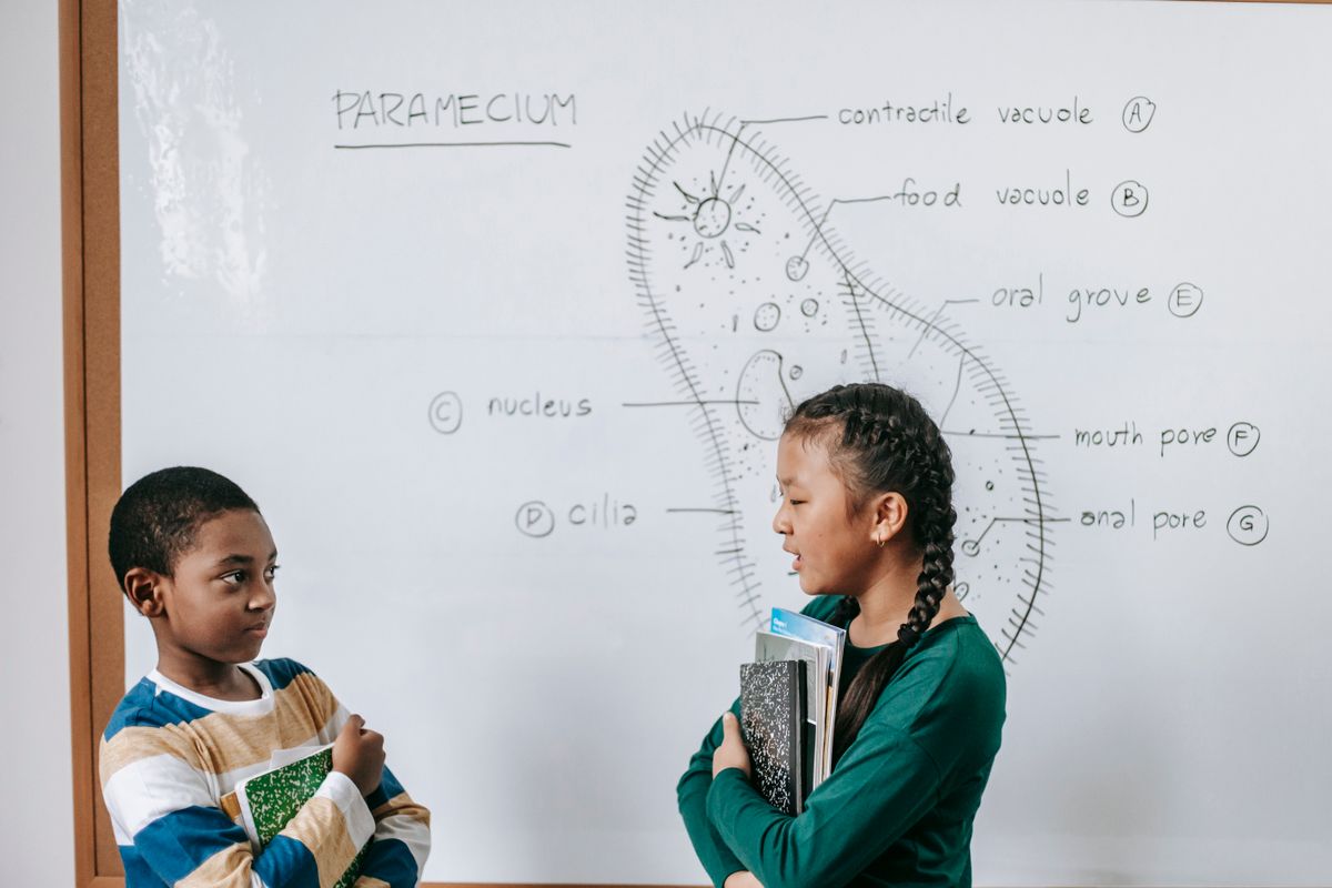 Two schoolchildren holding notebooks in front of a whiteboard diagram